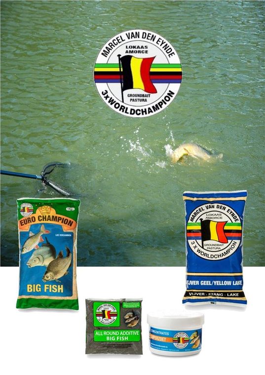 combinazioni con Big Fish