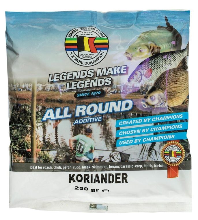 KORIANDER